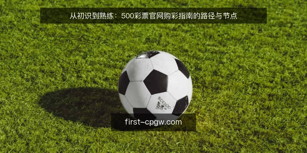 从初识到熟练：500彩票官网购彩指南的路径与节点 — 信号观察：识别购彩指南中的关键节点 配图