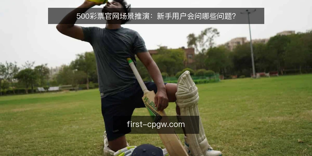 500彩票官网场景推演：新手用户会问哪些问题？ — 场景设定：第一次打开500彩票官网 配图